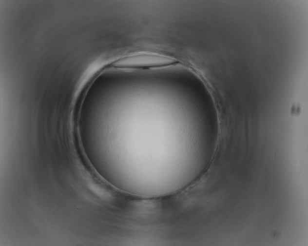 X0000092310102200709281354