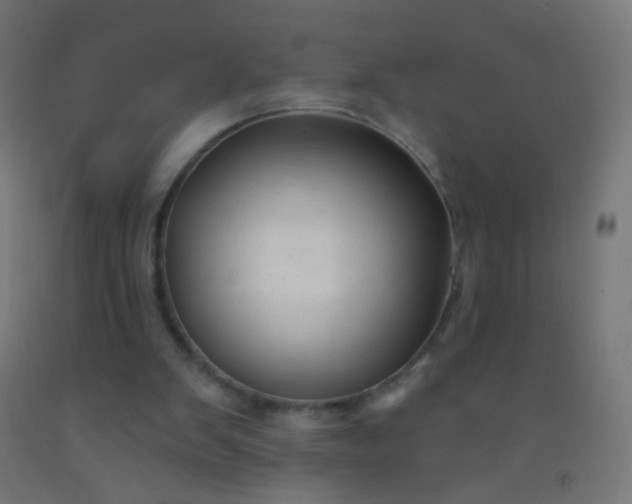 X0000092310103200709281354