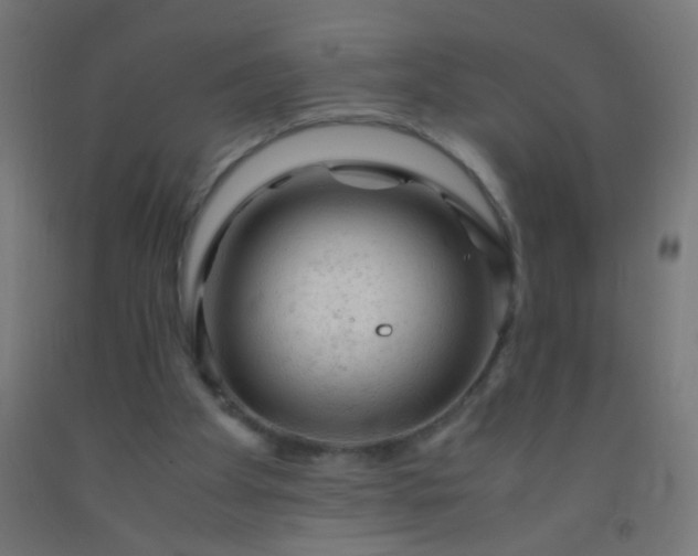 X0000092310105200709281354