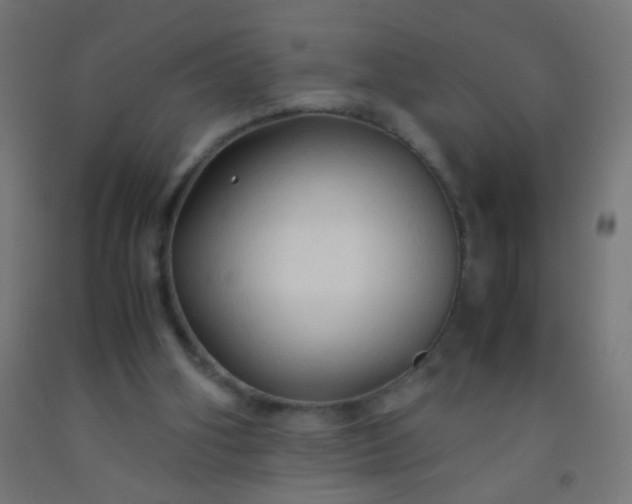 X0000092310106200709281354