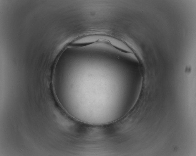 X0000092310107200709281354