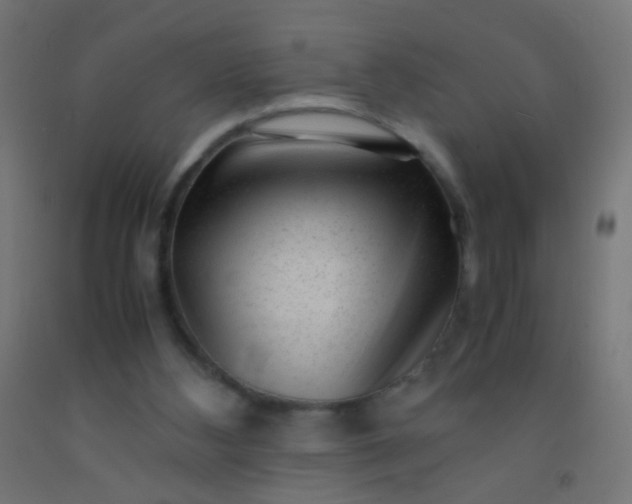 X0000092310108200709281354