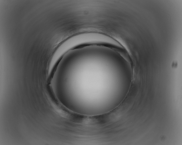 X0000092310109200709281354