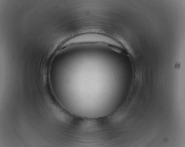 X0000092310110200709281354