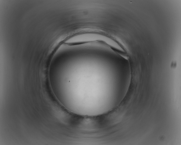 X0000092310111200709281354