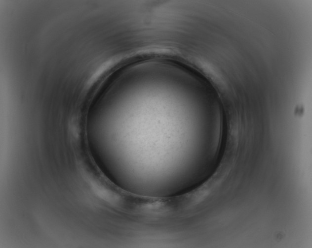 X0000092310112200709281354