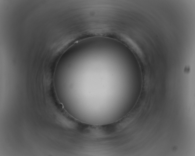 X0000092310113200709281354