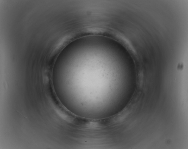 X0000092310114200709281354