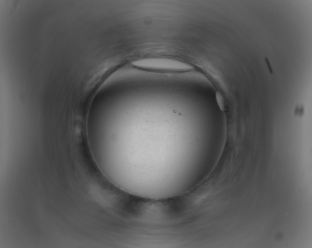 X0000092310115200709281354
