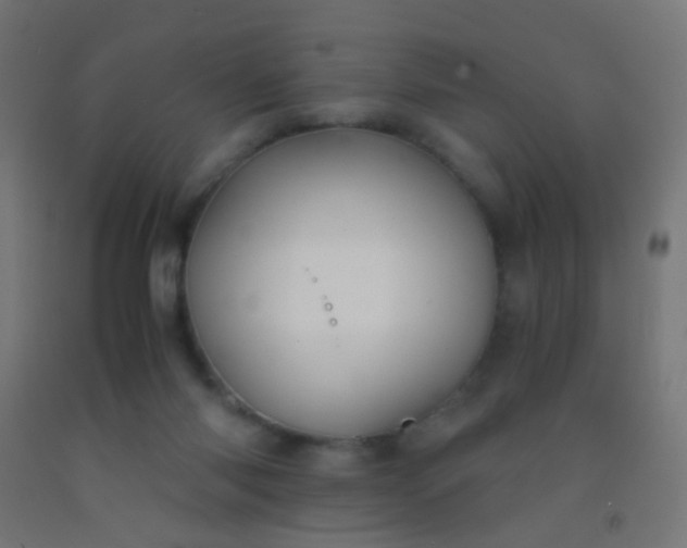 X0000092310118200709281354
