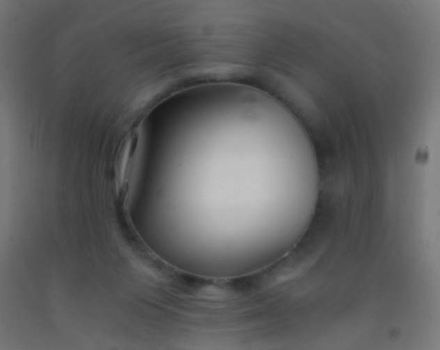 X0000092310119200709281354
