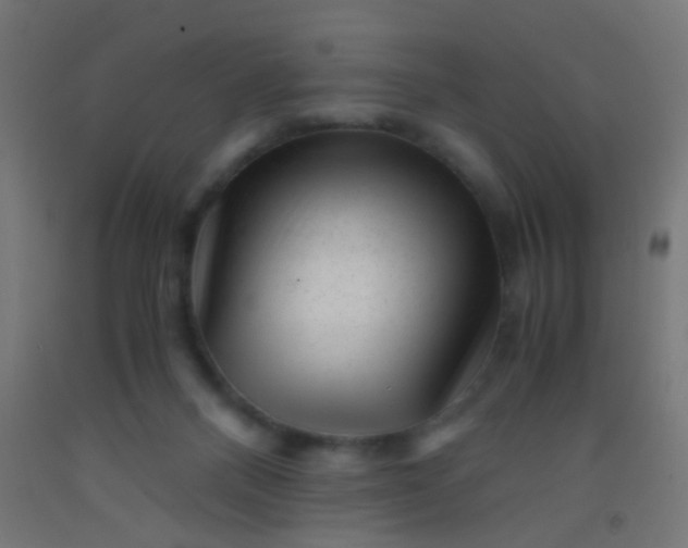 X0000092310120200709281354