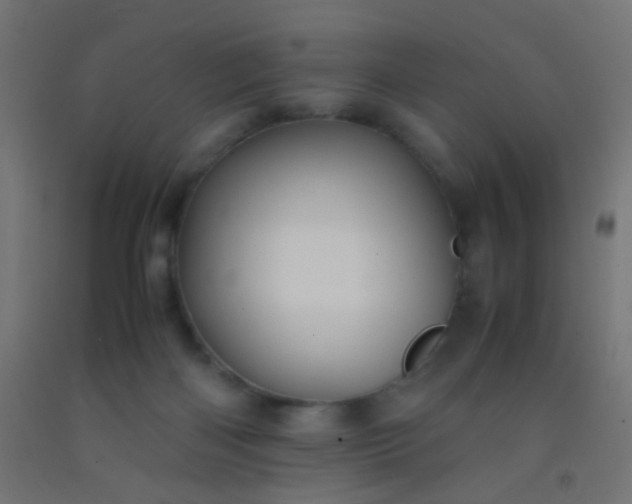 X0000092310122200709281354