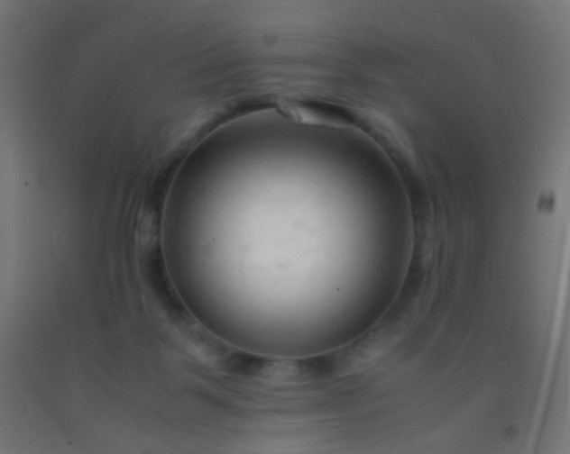 X0000092310123200709281354