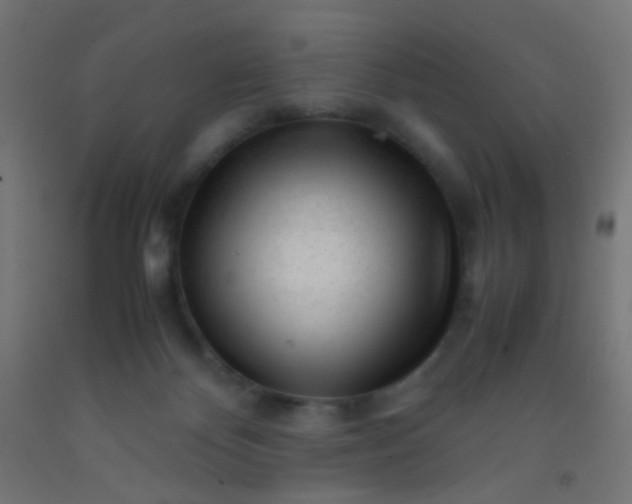 X0000092310124200709281354