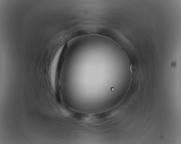 X0000092310125200709281354