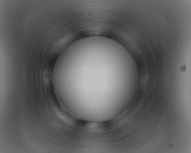 X0000092310126200709281354