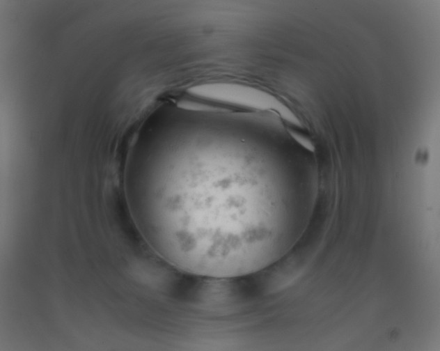 X0000092310127200709281354