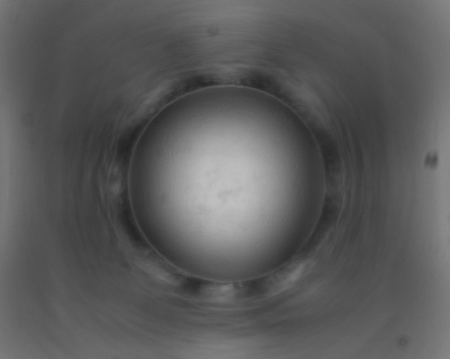 X0000092310131200709281354