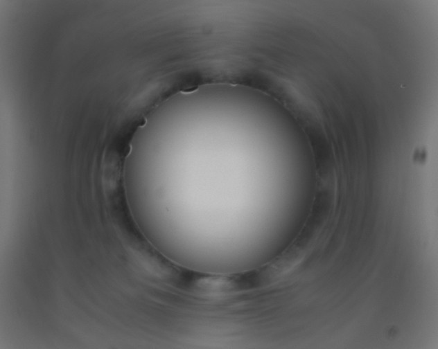 X0000092310133200709281354