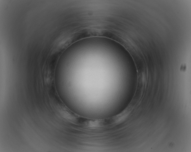 X0000092310134200709281354