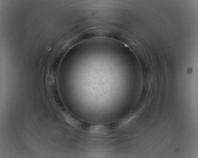 X0000092310137200709281353