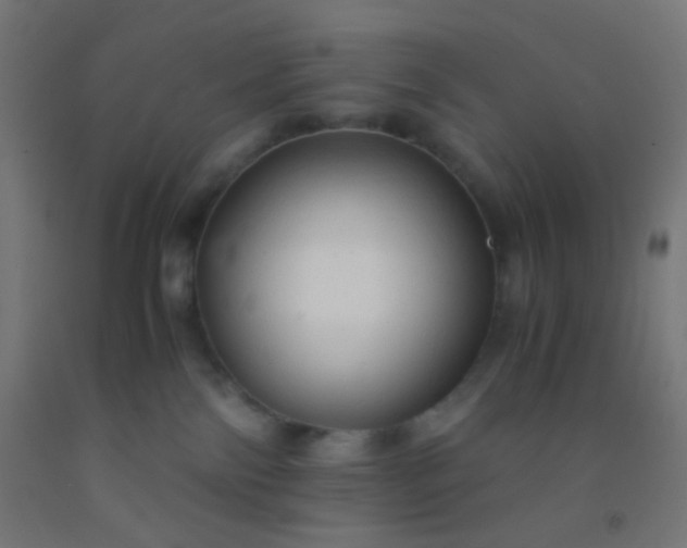 X0000092310138200709281353