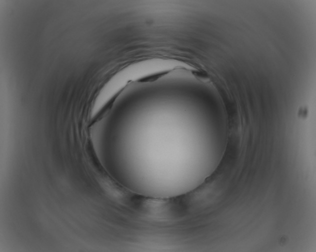 X0000092310139200709281353