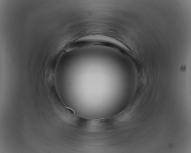 X0000092310141200709281353