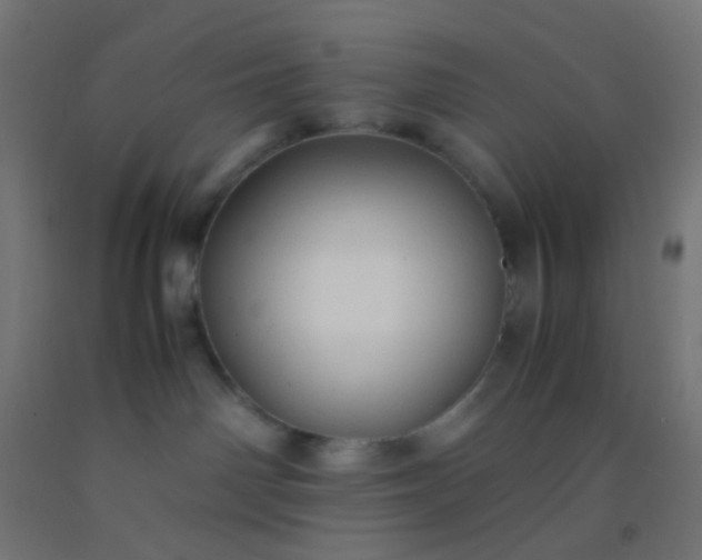 X0000092310142200709281353