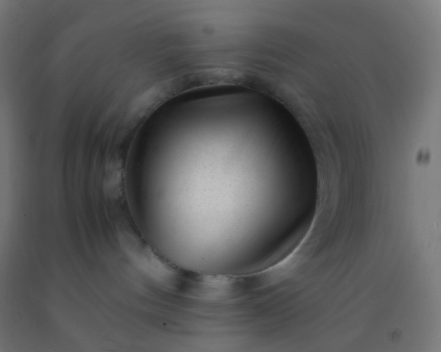 X0000092310144200709281353