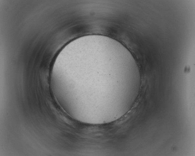 X0000092310146200709281353