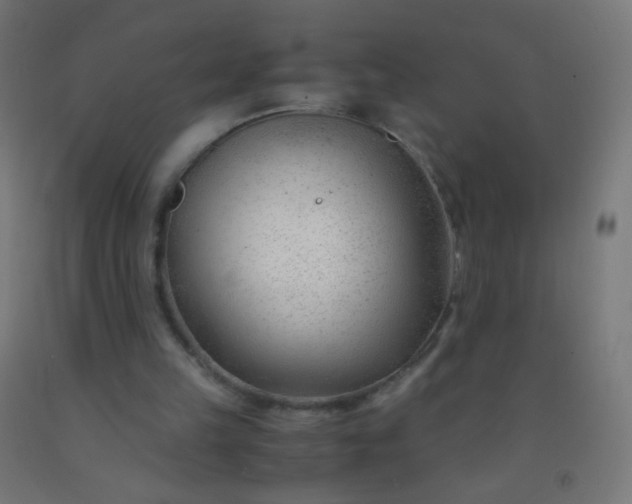 X0000092310149200709281353