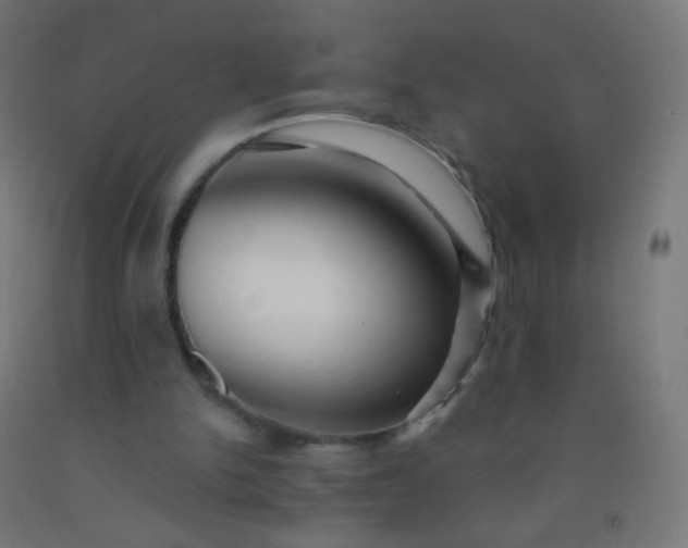 X0000092310150200709281353