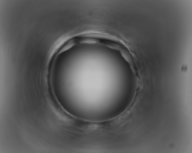 X0000092310152200709281353