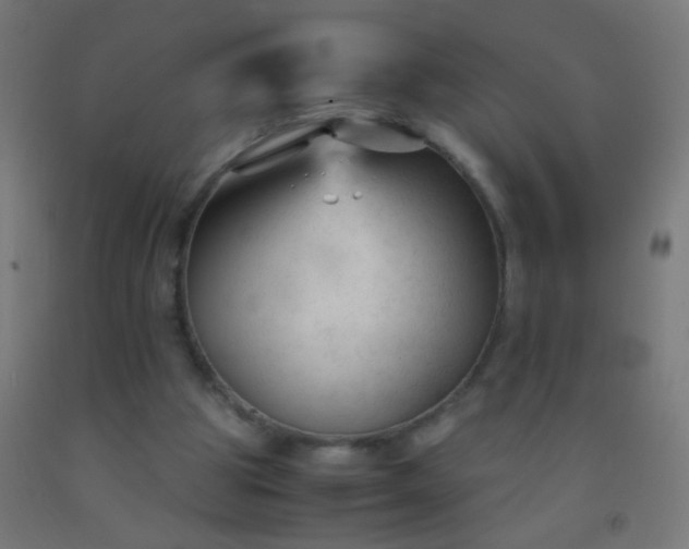 X0000092310153200709281353