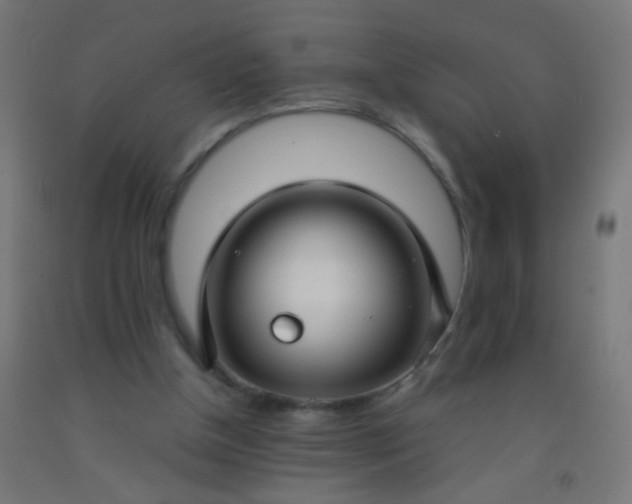 X0000092310154200709281353