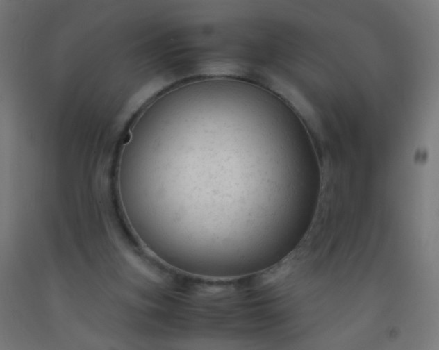 X0000092310155200709281353