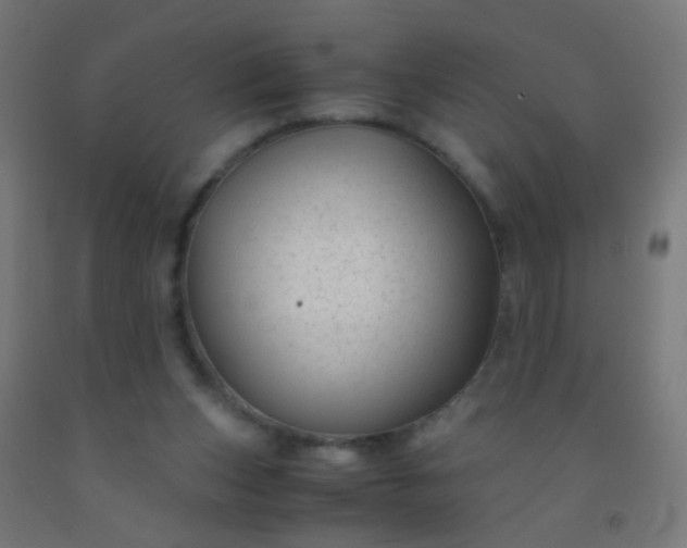 X0000092310159200709281353