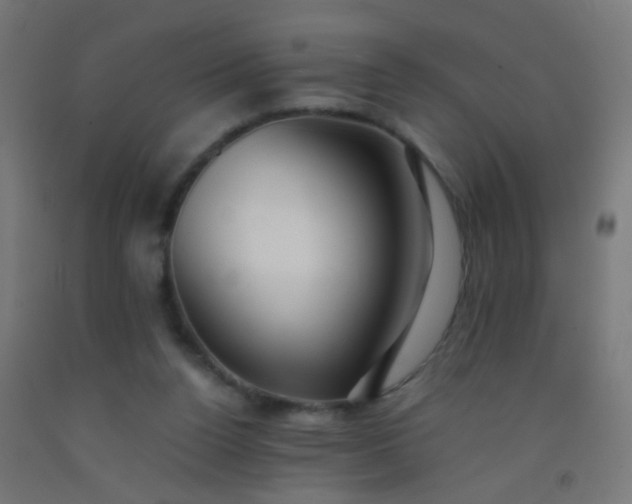 X0000092310160200709281353