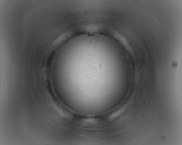 X0000092310161200709281353
