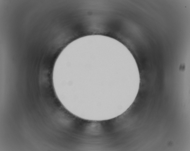 X0000092310162200709281353