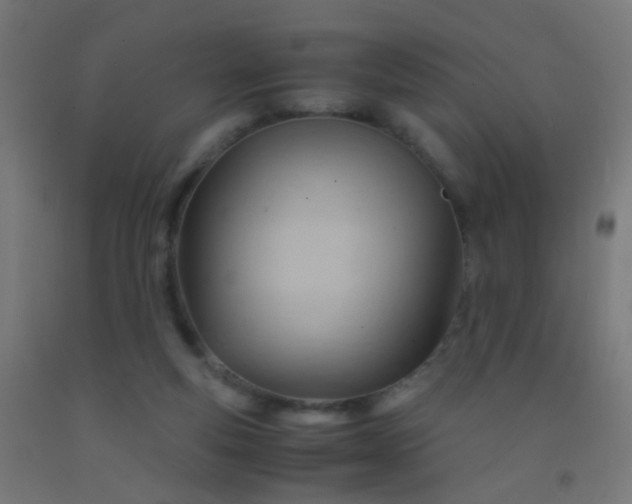 X0000092310163200709281353