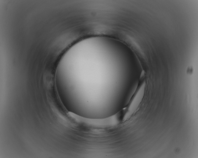 X0000092310164200709281353