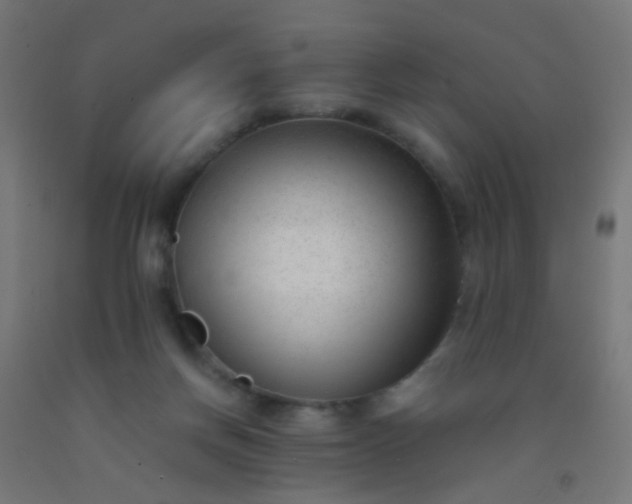 X0000092310166200709281353