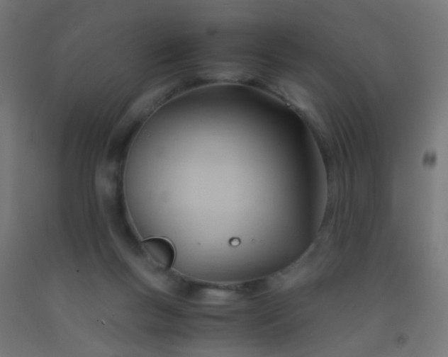 X0000092310167200709281353