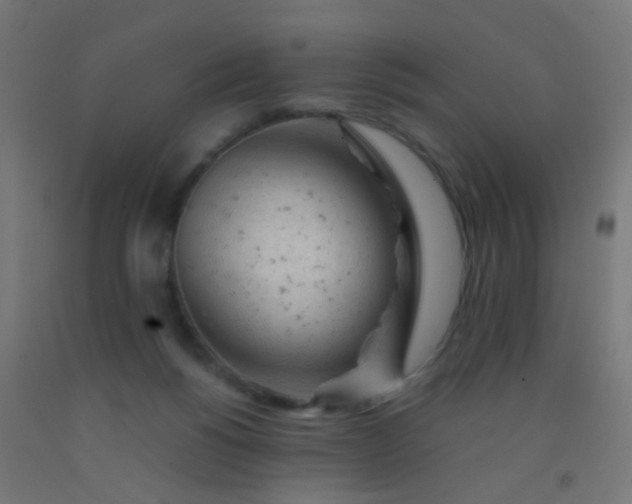 X0000092310168200709281353
