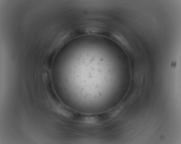 X0000092310169200709281353