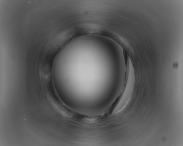 X0000092310170200709281353