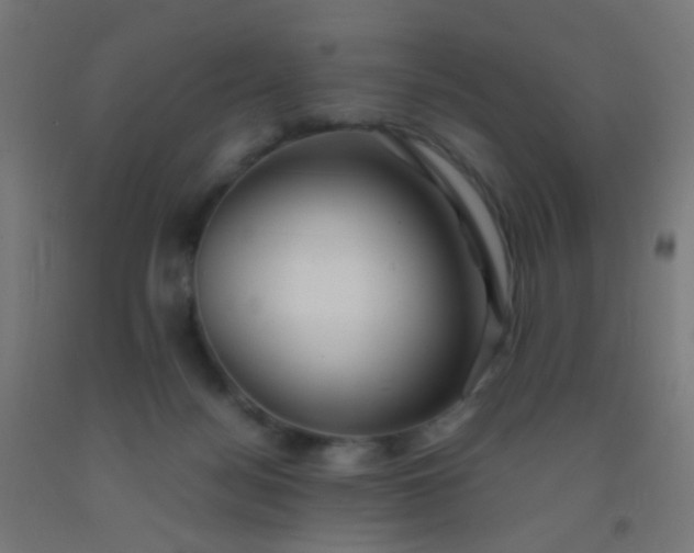 X0000092310172200709281353